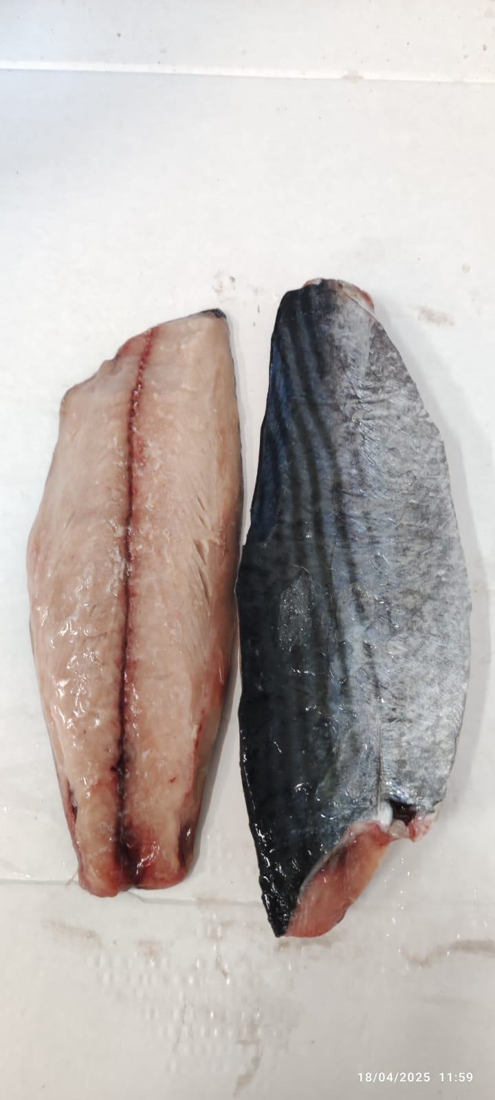 Bonite — Filet interfolié, photo 1