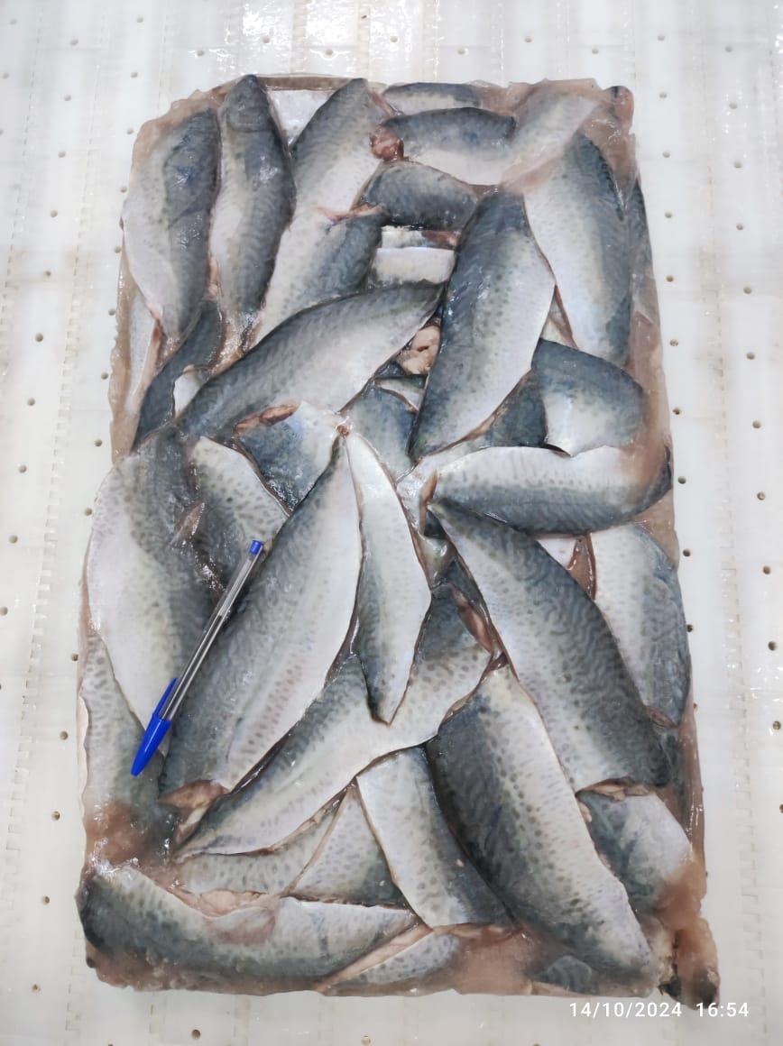 Maquereau — Filet bloc, photo 2