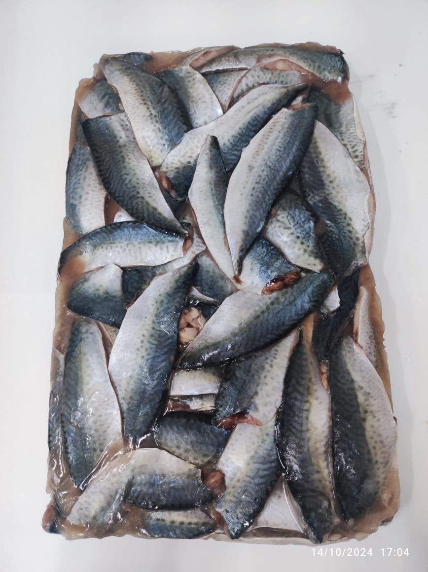 Maquereau — Filet bloc, photo 5
