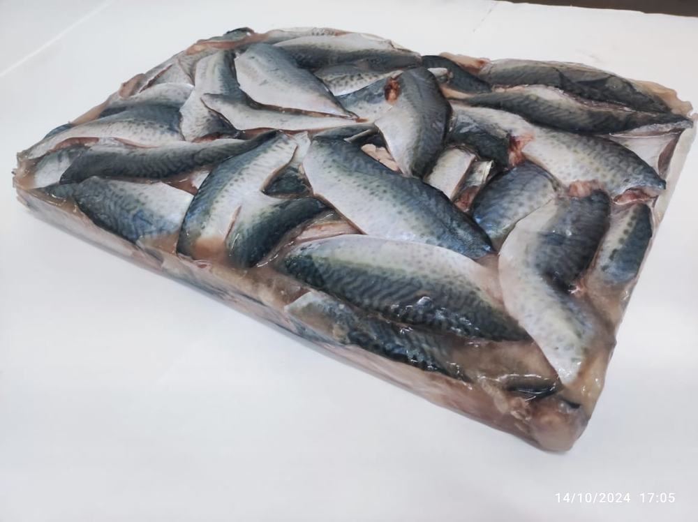 Maquereau — Filet bloc, photo 8