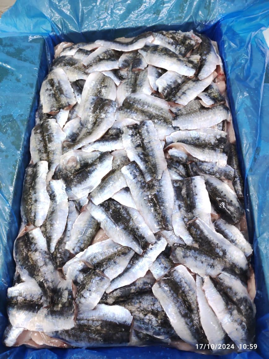 Sardine — Filet, photo 7