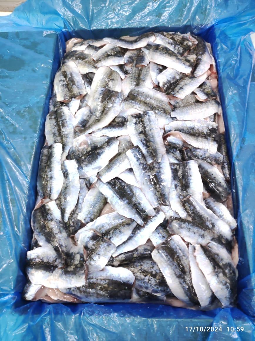 Sardine — Filet, photo 8