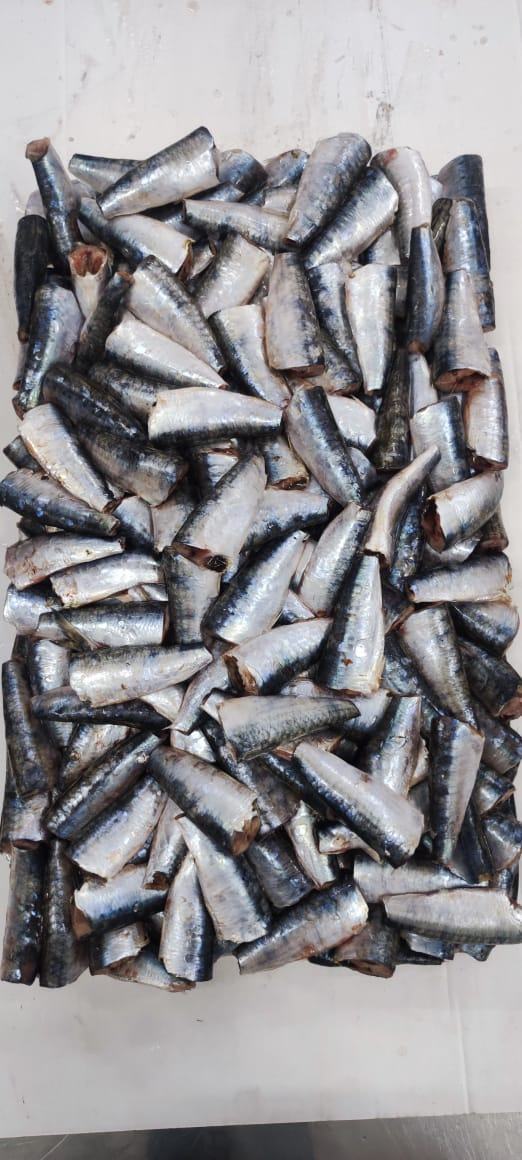 Sardine — 3ème choix, photo 2