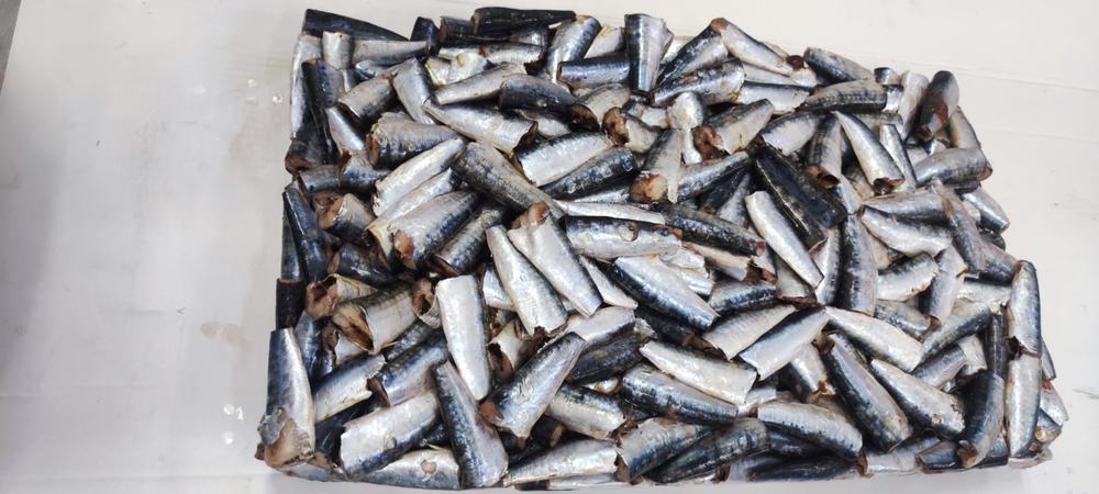 Sardine — 3ème choix, photo 3